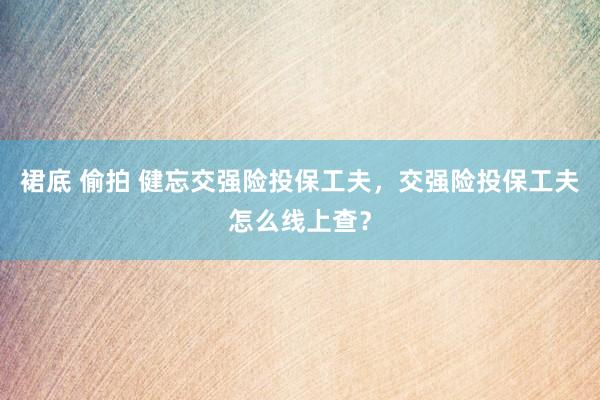 裙底 偷拍 健忘交强险投保工夫，交强险投保工夫怎么线上查？