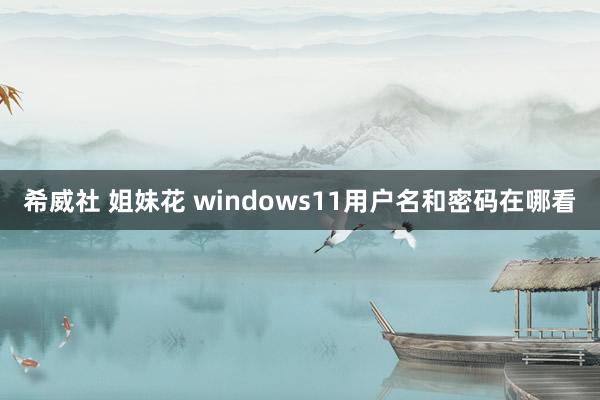 希威社 姐妹花 windows11用户名和密码在哪看