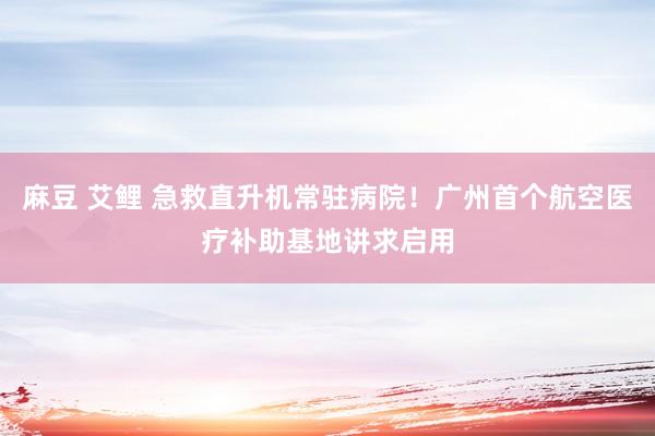 麻豆 艾鲤 急救直升机常驻病院！广州首个航空医疗补助基地讲求启用